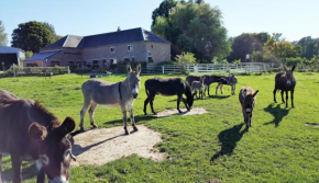 Hotels in Saint-Hilaire-Sur-Helpe